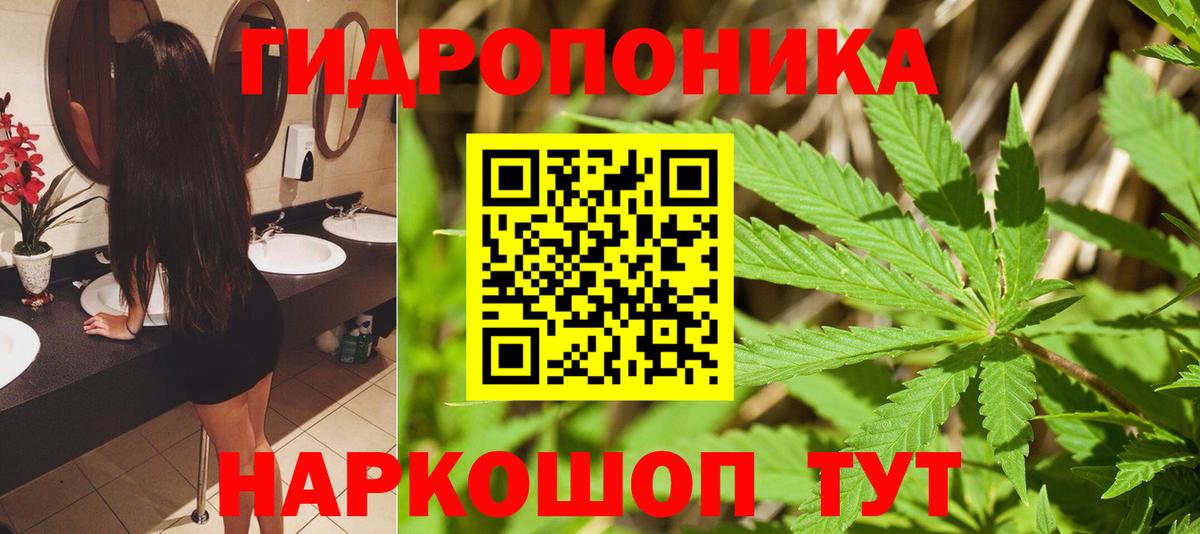 Каннабис индика Ковров